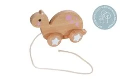 Holz-Ziehtier In Schildkröten-Design